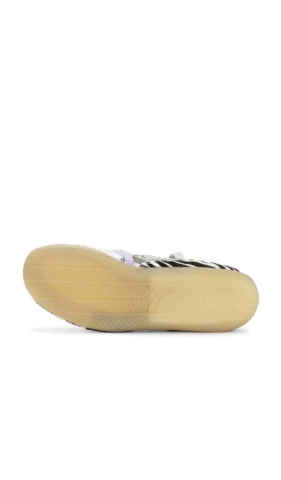 Puma Speedcat Ballet Snakeskin-effect Zebra-print Sneakers In Multi