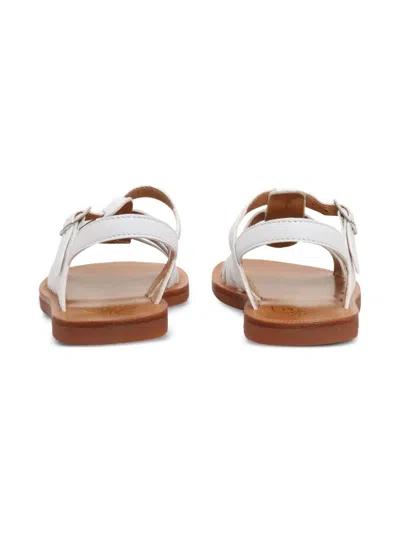 Pom D'api Leather Buckle-fastening Sandals In Multi