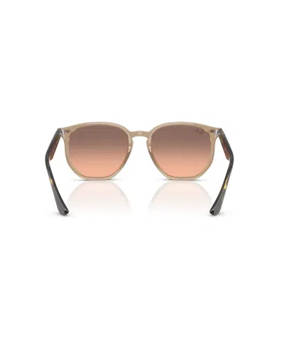 Ray Ban Ray In Brown