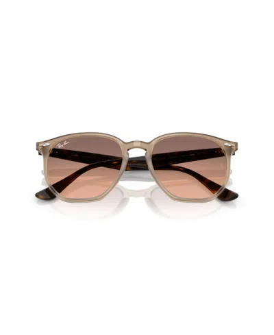 Ray Ban Ray In Brown