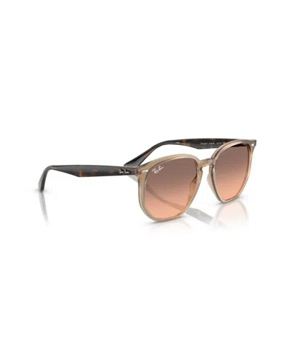 Ray Ban Ray In Brown