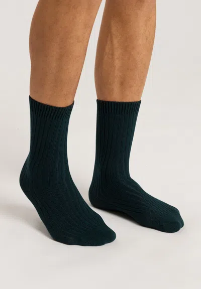 Hanro Accessories Wool Blend Socks In Multi
