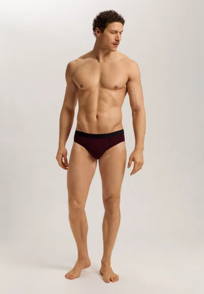 Hanro Cotton Essentials 2-pack Cotton Briefs In Multi
