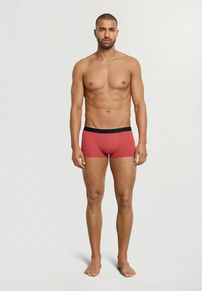 Hanro Micro Touch Boxer Brief In Multi
