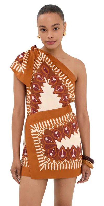 Johanna Ortiz Sun Traveller Printed Cotton-voile Mini Dress In Brown