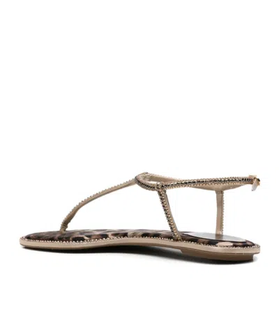 René Caovilla Brown Leopard Print Slippers In Multi