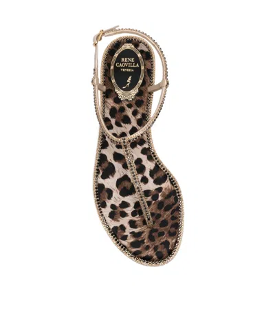 René Caovilla Brown Leopard Print Slippers In Multi