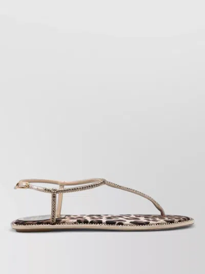 René Caovilla Brown Leopard Print Slippers In Multi