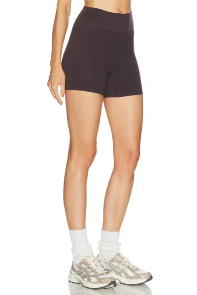 437 The Essentials Short In Multi