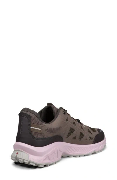 Ecco Receptor Xp Water Resistant Sneaker In Multi