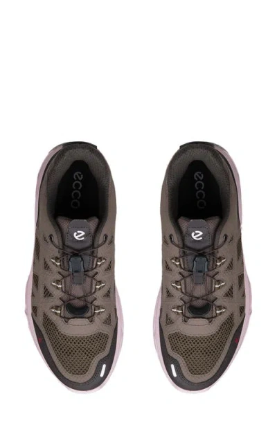 Ecco Receptor Xp Water Resistant Sneaker In Multi