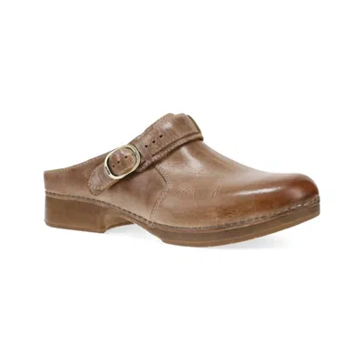 Dansko Millie Mule In Brown