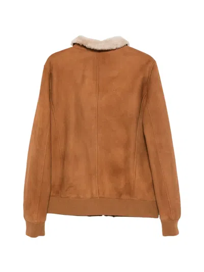 Sergio Moretti Firenze Shearling-collar Jacket In Brown