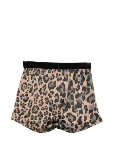 Tom Ford Leopard-print Boxer In Brown