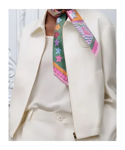 Dior Printed Twilly Scarf In Multi