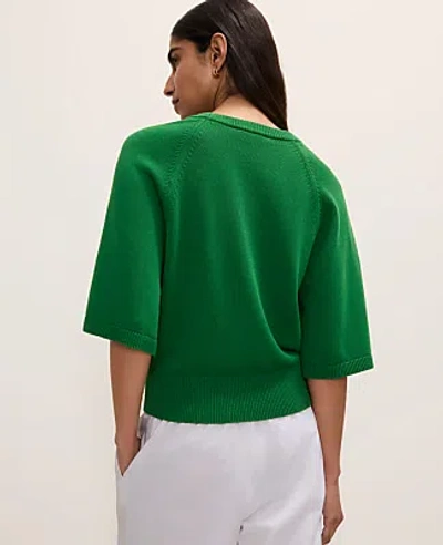 Ann Taylor Raglan Crew Neck Sweater In Green