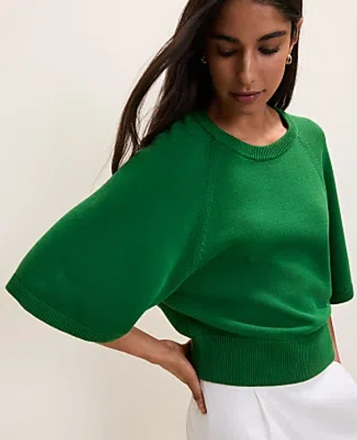 Ann Taylor Raglan Crew Neck Sweater In Green