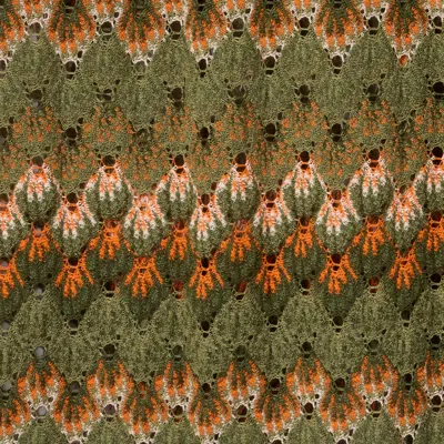 La Doublej Palazzo Pants In Pattern