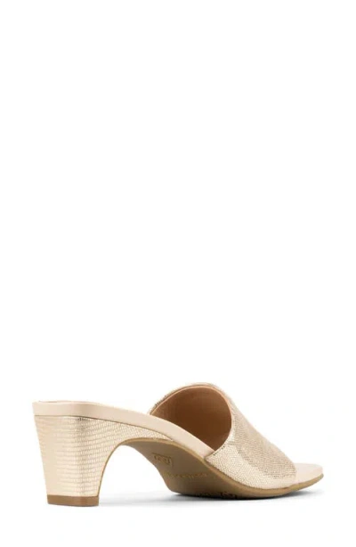 Donald Pliner Dalayna Toe Loop Sandal In Multi