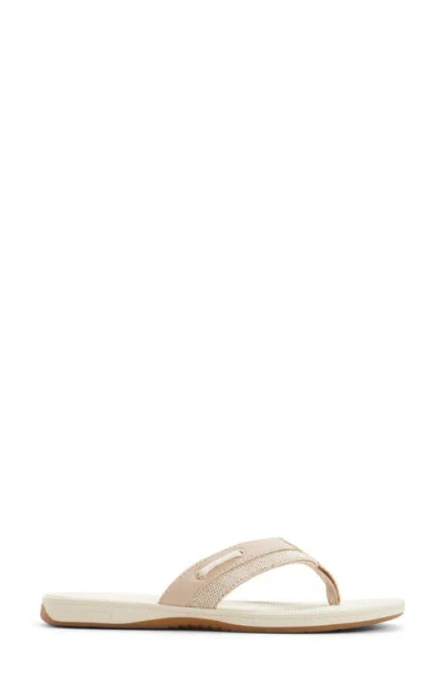 Sperry Sealfish Flip Flop In Multi