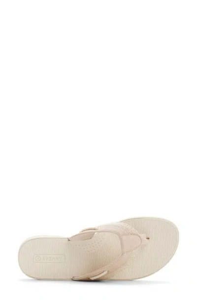 Sperry Sealfish Flip Flop In Multi