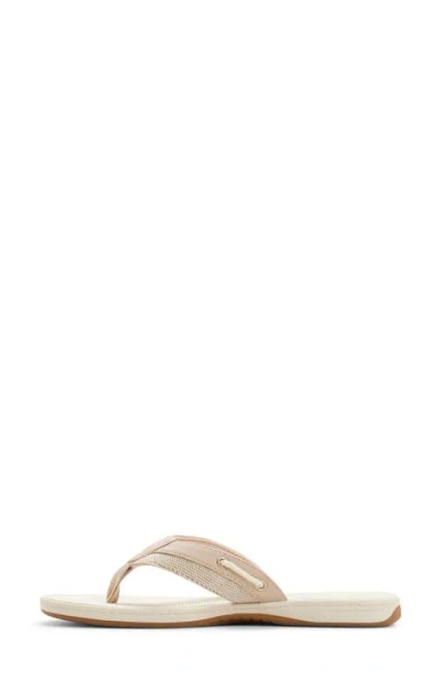 Sperry Sealfish Flip Flop In Multi