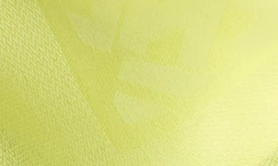 Longchamp Scarf In Pattern