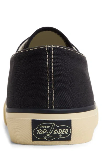 Sperry Classic Evo Sneaker In Black