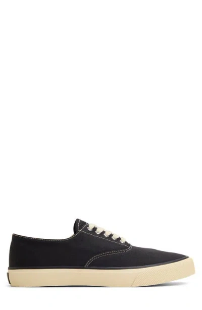 Sperry Classic Evo Sneaker In Black