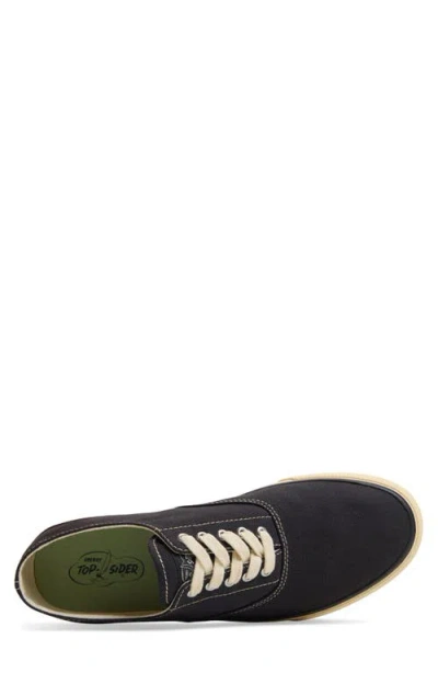 Sperry Classic Evo Sneaker In Black