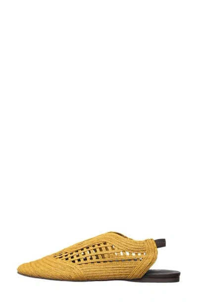 Antelope Daisy Slingback Flat In Yellow