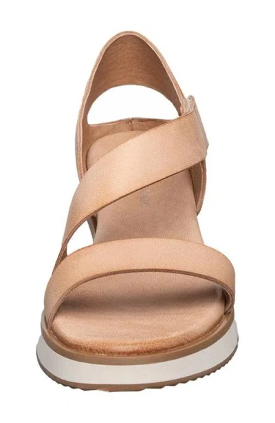 Antelope Clara Sandal In Brown