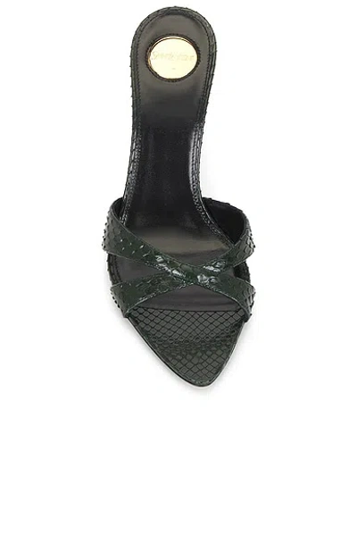 Saint Laurent Gippy Python Mule Sandal In Black