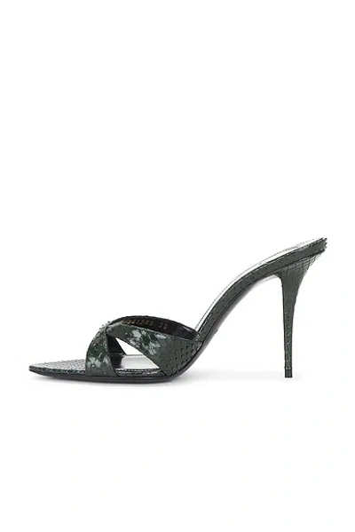 Saint Laurent Gippy Python Mule Sandal In Black