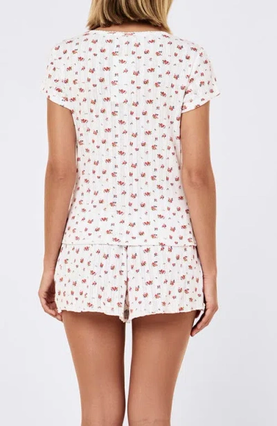 Papinelle Imogen Pointelle T-shirt In Multi