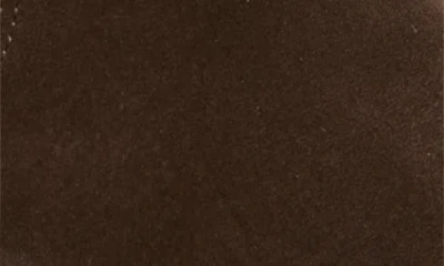 Isabel Marant Denver Leather Knee High Western Boots In Brown