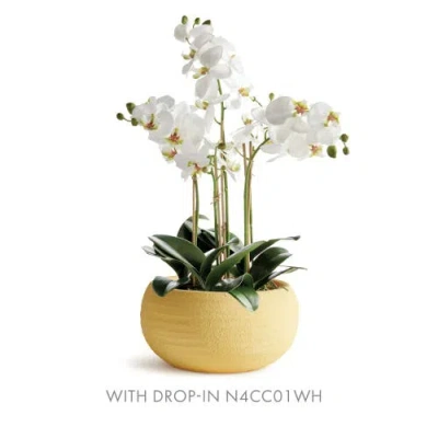 Napa Home & Garden Anderson Decorative Bowl In Neutral
