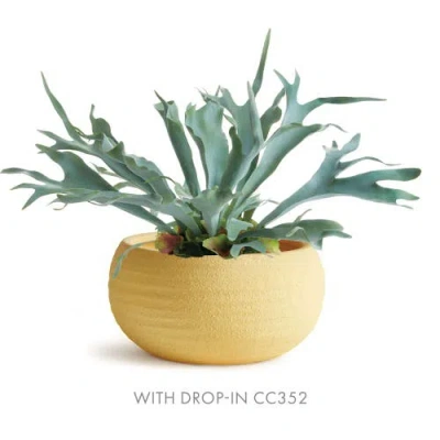Napa Home & Garden Anderson Decorative Bowl In Neutral
