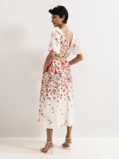 Phase Eight Petite Lovette Dress In White