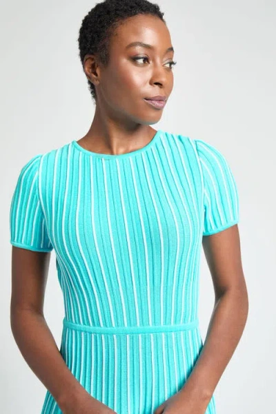 6010 Modern Fit Jewel Neck Striped Flare Soft Knit Dress In Blue