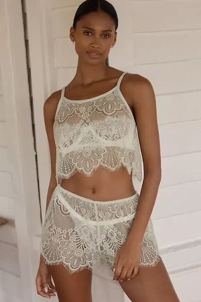 Lyrebird Sheer Lace Tap Shorts In White