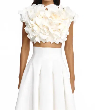 Acler Jackhill Floral Top In Neutral
