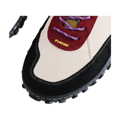 Pane Crest Kick 'fennel Seed' In Multi
