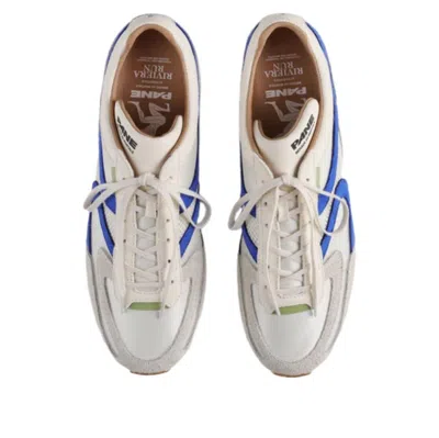 Pane Riviera 'dash Blue' In Multi
