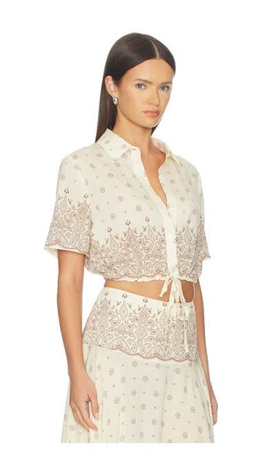 Devon Windsor Rosie Top Crete In Brown