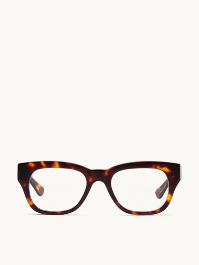 Caddis Miklos Glasses Sunglasses In Turtle