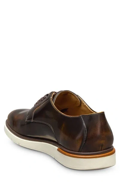 Allen Edmonds Carson Derby In Brown