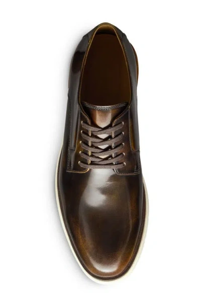 Allen Edmonds Carson Derby In Brown