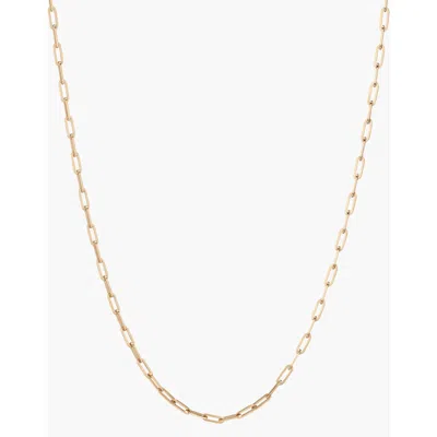 Aurate New York Medium Paperclip Chain Necklace In Gold