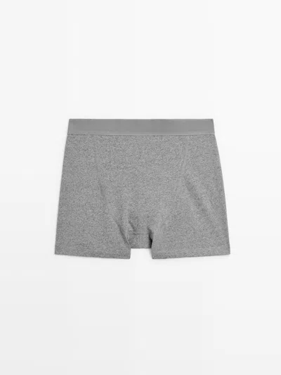 Massimo Dutti Boxer Taille Avec Logo In Gray